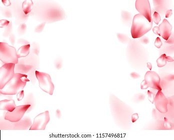 Pink sakura flower flying petals isolated on white. Romantic beauty salon background. Japanese sakura petals springtime confetti, blossom elements flying. Falling cherry blossom flower parts vector.