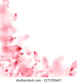 Pink sakura flower flying petals isolated on white. Airy floral background. Japanese sakura petals spring confetti, blossom elements flying. Falling cherry blooming flower parts vector.