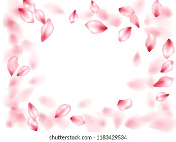 Pink sakura flower flying petals isolated on white. Stylish beauty salon background. Japanese sakura petals seasonal confetti, blossom elements flying. Falling cherry blossom flower parts vector.