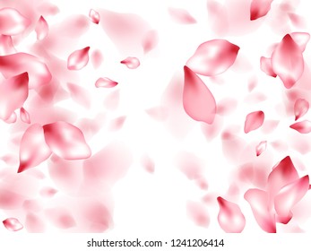 Pink sakura flower flying petals isolated on white. Creative floral background. Japanese sakura petals spring confetti, blossom elements flying. Falling cherry blooming flower parts vector.