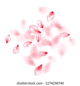 Pink sakura flower flying petals isolated on white. Airy beauty salon background. Japanese sakura petals springtime confetti, blossom elements flying. Falling cherry bloom flower parts vector.