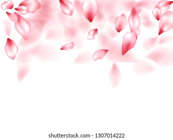 Pink sakura flower flying petals isolated on white. Airy floral background. Japanese sakura petals seasonal confetti, blossom elements flying. Falling cherry blooming flower parts vector.