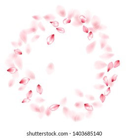 Pink sakura flower flying petals isolated on white. Delicate beauty salon background. Japanese sakura petals spring confetti, blossom elements flying. Falling cherry bloom flower parts design.