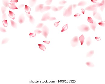 Pink sakura flower flying petals isolated on white. Elegant beauty salon background. Japanese sakura petals springtime confetti, blossom elements flying. Falling cherry blooming flower parts vector.