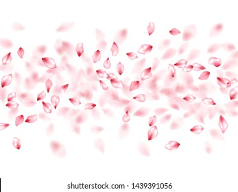 Pink sakura flower flying petals isolated on white. Light floral background. Japanese sakura petals springtime confetti, blossom elements flying. Falling cherry blooming flower parts vector.