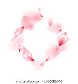 Pink sakura flower flying petals isolated on white. Light beauty salon background. Japanese sakura petals seasonal confetti, blossom elements flying. Falling cherry blooming flower parts design.