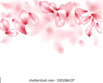 Pink sakura flower flying petals isolated on white. Abstract floral background. Japanese sakura petals springtime confetti, blossom elements flying. Falling cherry blooming flower parts design.