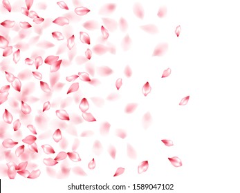 Pink sakura flower flying petals isolated on white. Modern floral background. Japanese sakura petals seasonal confetti, blossom elements flying. Falling cherry blossom flower parts vector.