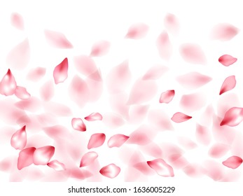 Pink sakura flower flying petals isolated on white. Gentle beauty salon background. Japanese sakura petals spring confetti, blossom elements flying. Falling cherry blossom flower parts vector.