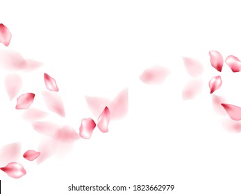 Pink sakura flower flying petals isolated on white. Elegant floral background. Japanese sakura petals spring confetti, blossom elements flying. Falling cherry blossom flower parts design.