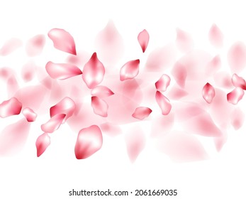 Pink sakura flower flying petals isolated on white. Detailed floral background. Japanese sakura petals spring confetti, blossom elements flying. Falling cherry blooming flower parts design.