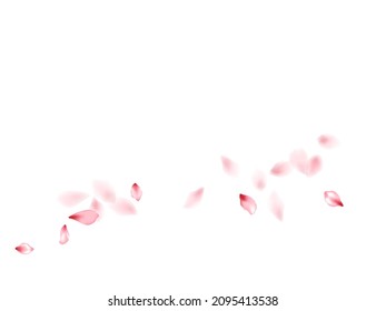 Pétalos voladores de flores rosadas de sakura aislados en blanco. Fondo del salón de belleza natural. Pétalos de sakura japoneses, confeti estacional, elementos de flores volando. Diseño de piezas florales de flores de cerezo en caída.