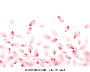 Pink sakura flower flying petals isolated on white. Glamour beauty salon background. Japanese sakura petals springtime confetti, blossom elements flying. Falling cherry blossom flower parts design.