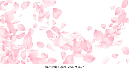 Pink sakura flower flying petals isolated on white. Natural beauty salon background. Japanese sakura petals seasonal confetti, blossom elements flying. Falling cherry bloom flower parts design.