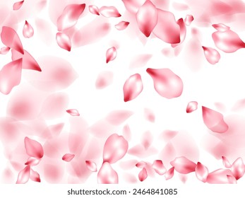 Pink sakura flower flying petals isolated on white. Abstract floral background. Japanese sakura petals springtime confetti, blossom elements flying. Falling cherry blooming flower parts vector.