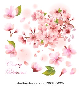 Pink Sakura Flower Petals Set. Vector Illustration.