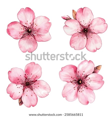 Pink sakura flower set vector spring blossom. Flower and bud realistic illustration. Peach blooming, apricot bloom, sakura cherry blossom. Vector icon set, isolated on white. Element for spring design