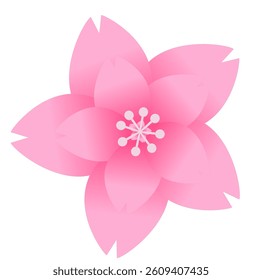 Pink sakura flowers in bloom, simple and elegant Japanese floral design, soft gradient petals, spring theme.