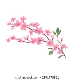 Pétalos de flores rosadas de Sakura, ramas de árboles de cerezo o melocotón con hojas. Ilustraciones vectoriales planas para la primavera en Asia, naturaleza, florecimiento