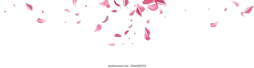 Pink Sakura Flying Vector White Panoramic Background. Fall Flower Frame. Red Cherry Tender Banner. Beautiful Blossom Summer Illustration.