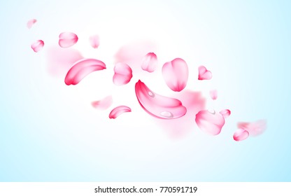 Pink sakura fresh falling petals with drops of water, dew with blur effect. Vector background. 3D realistic detailed romantic illustration.