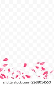 Pink Sakura Japan Vector Transparent Background. Fly Blossom Backdrop. Delicate Rose Beauty Texture. Beautiful Flower Japanese Cover.