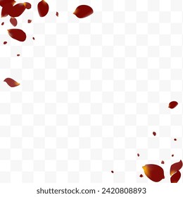 Pink Sakura Japan Vector Transparent Background. Fall Peach Banner. Delicate Flower Tender Cover. Beautiful Blossom Fly Wallpaper.