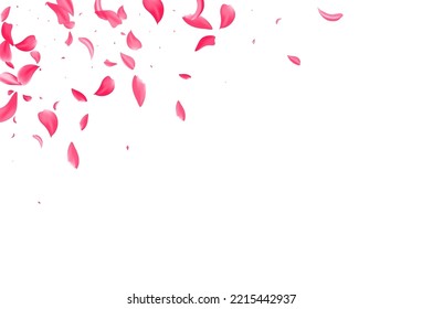 rosafarbene Sakura Japan Vektorweißer Hintergrund. Japanische Lotus-Illustration. Feine, florale Abdeckung. Schönes Pfirsichfalldesign.