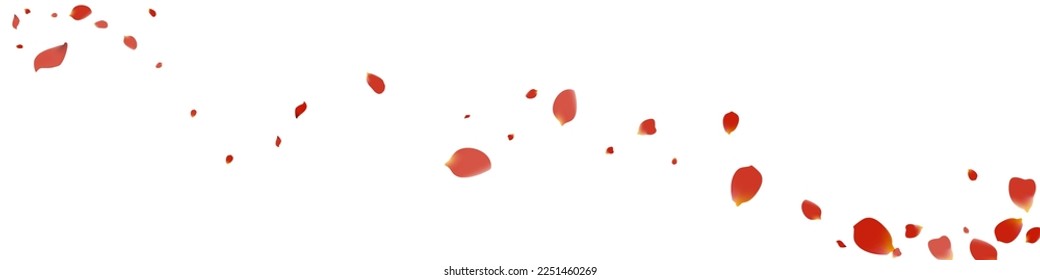 Pink Sakura Japan Vector White Panoramic Background. Falling Rose Pattern. Red Lotus Fall Backdrop. Beautiful Flower Spring Illustration.