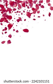 Pink Sakura Japanese Vector White Background. Fall Petal Template. Purple Cherry Fly Wallpaper. Beautiful Lotus Japan Banner.