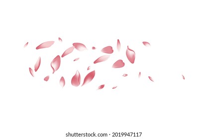 Pink Sakura Petal Vector White Background. Transparent Delicate Apple Petal Card. Peach Petal 3d Backdrop. Fly Flower Petal Template.