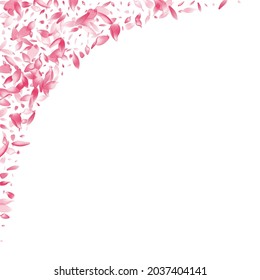 Pink Sakura Petal Vector White Background. Pastel Beauty Cherry Petal Card. Rose Petal Romantic Product. Blossom Peach Petal Design.