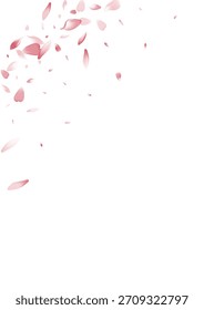 Fondo blanco del Vector del pétalo de Sakura rosado. Cartel de pétalo de melocotón blanco de San Valentín. Cubierta moderna de pétalo de cereza. Anuncio de pétalo de manzana brillante.