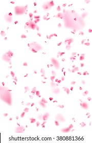Pink sakura petals background. A lot of falling petals on white background. Vector spring template. 