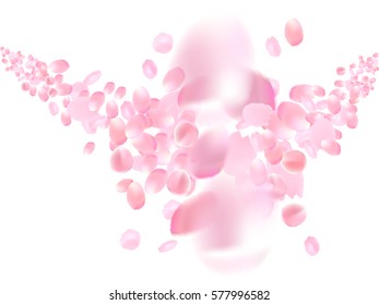 Pink sakura petals background. A lot of falling, collision petals on white background.