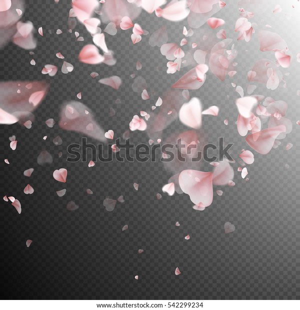 ピンクの桜の花びらの背景 透明な背景に落花が多い Eps10ベクター画像ファイルを含む のベクター画像素材 ロイヤリティフリー