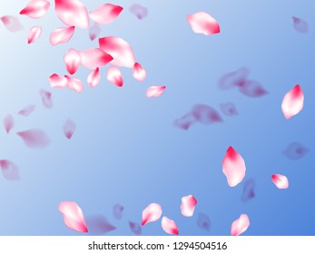 Pink sakura petals confetti flying and falling on blue sky background. Flower blossom parts romantic love vector pattern. Pastel pink blossom petals floral design. Close up bloom elements.