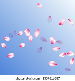 Pink sakura petals confetti flying and falling on blue sky background. Flower blossom parts romantic love vector pattern.  