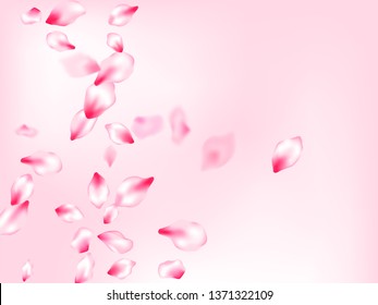 Pink sakura petals confetti flying and falling on rose color background. Flower blossom parts romantic love vector pattern. Flower blossom particles, petals rain shower. Oriental composition.