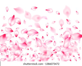 Pink sakura petals confetti flying and falling windy blowing background. Asian poster background. Pastel pink blossom petals floral design. Flower blossom parts romantic love vector pattern.