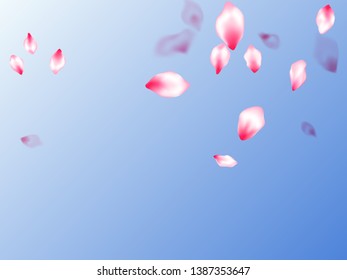 Pink sakura petals confetti flying and falling on blue sky background. Oriental composition. Floral natural blossom soft petals illustration. Flower blossom parts romantic love vector pattern.