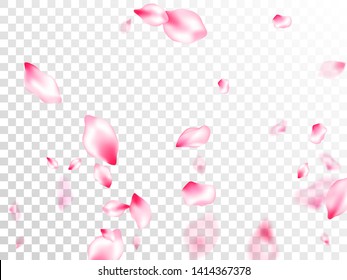 Pink sakura petals confetti flying and falling on transparent background. Close up bloom elements. Pastel pink blossom petals floral design. Flower blossom parts romantic love vector pattern.