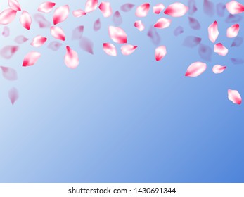 Pink sakura petals confetti flying and falling on blue sky background. Flower blossom parts romantic love vector pattern. Pastel rose color apple flower petals design. Abstract card backdrop.