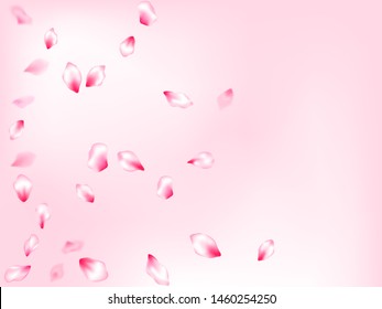 Pink sakura petals confetti flying and falling on rose color background. Flower blossom parts romantic love vector pattern. Realistic peach flolwer petals natural decor. Wedding celebration eps.