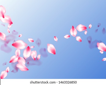 Pink sakura petals confetti flying and falling on blue sky background. Flower blossom parts romantic love vector pattern. Floral natural blossom soft petals illustration. Beauty studio concept.