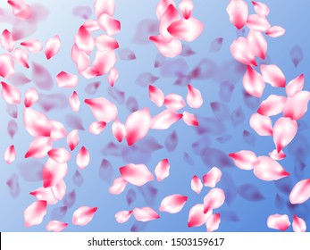 Pink sakura petals confetti flying and falling on blue sky background. Bloom 3d particles. Realistic peach flolwer petals natural decor. Flower blossom parts romantic love vector pattern.