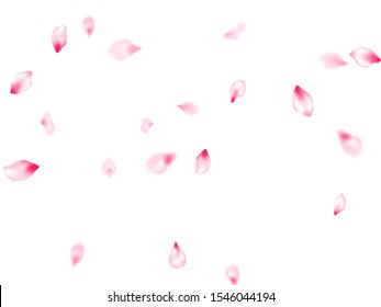 Pink sakura petals confetti flying and falling windy blowing background. Flower blossom parts romantic love vector pattern. SPA beauty illustration of sakura bloom petals. Cosmetics composition.