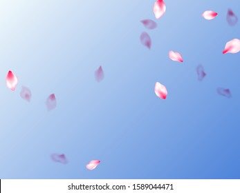 Pink sakura petals confetti flying and falling on blue sky background. Delicate spring vector. Natural marrige decor of chinese cherry petals. Flower blossom parts romantic love vector pattern.