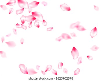 Pink sakura petals confetti flying and falling windy blowing background. Cosmetics composition. Natural marrige decor of chinese cherry petals. Flower blossom parts romantic love vector pattern.