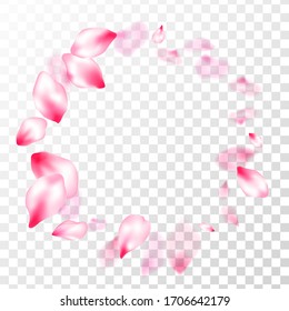 Pink sakura petals confetti flying and falling on transparent background. Flower blossom parts romantic love vector pattern. Flower blossom particles, petals rain shower. Delicate spring vector.